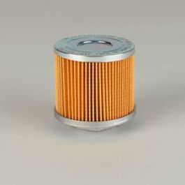 Filtro Strainer