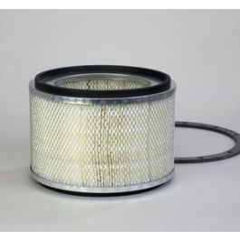 Filtro Aire Principal