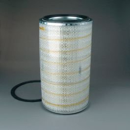 Filtro Aire Principal