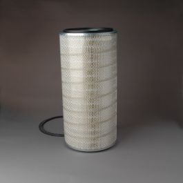 Filtro Aire Principal