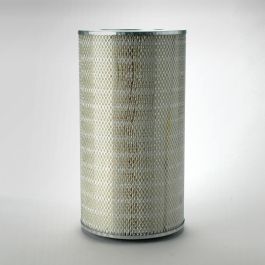 Filtro Aire Principal