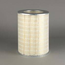 Filtro Aire Principal