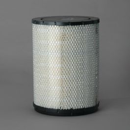 Filtro Aire Principal