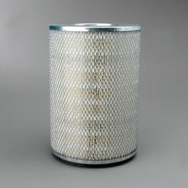 Filtro Aire Principal