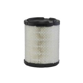 Filtro Aire Principal