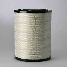 Filtro Aire Principal