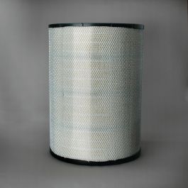 Filtro Aire Principal