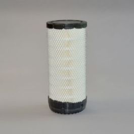 Filtro Aire Principal