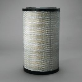 Filtro Aire Principal