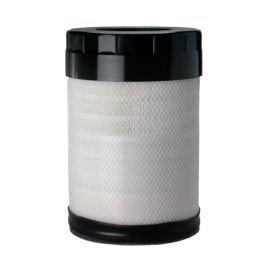 Filtro Aire Principal