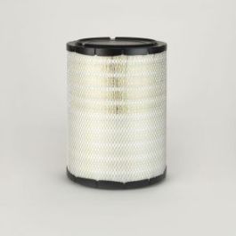 Filtro Aire Principal