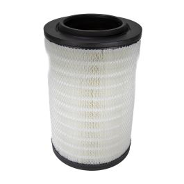 Filtro Aire Principal