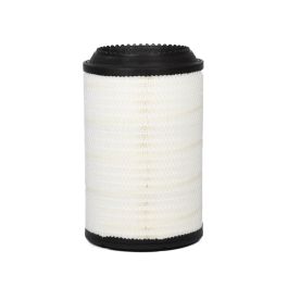 Filtro Aire Principal